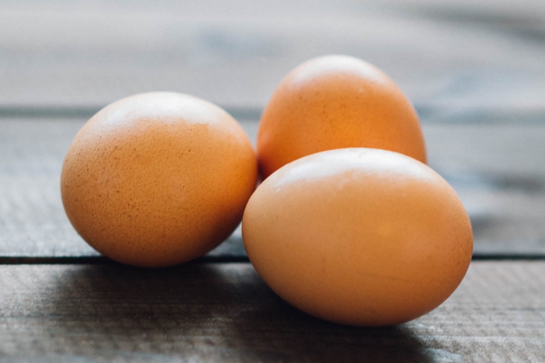 Eier